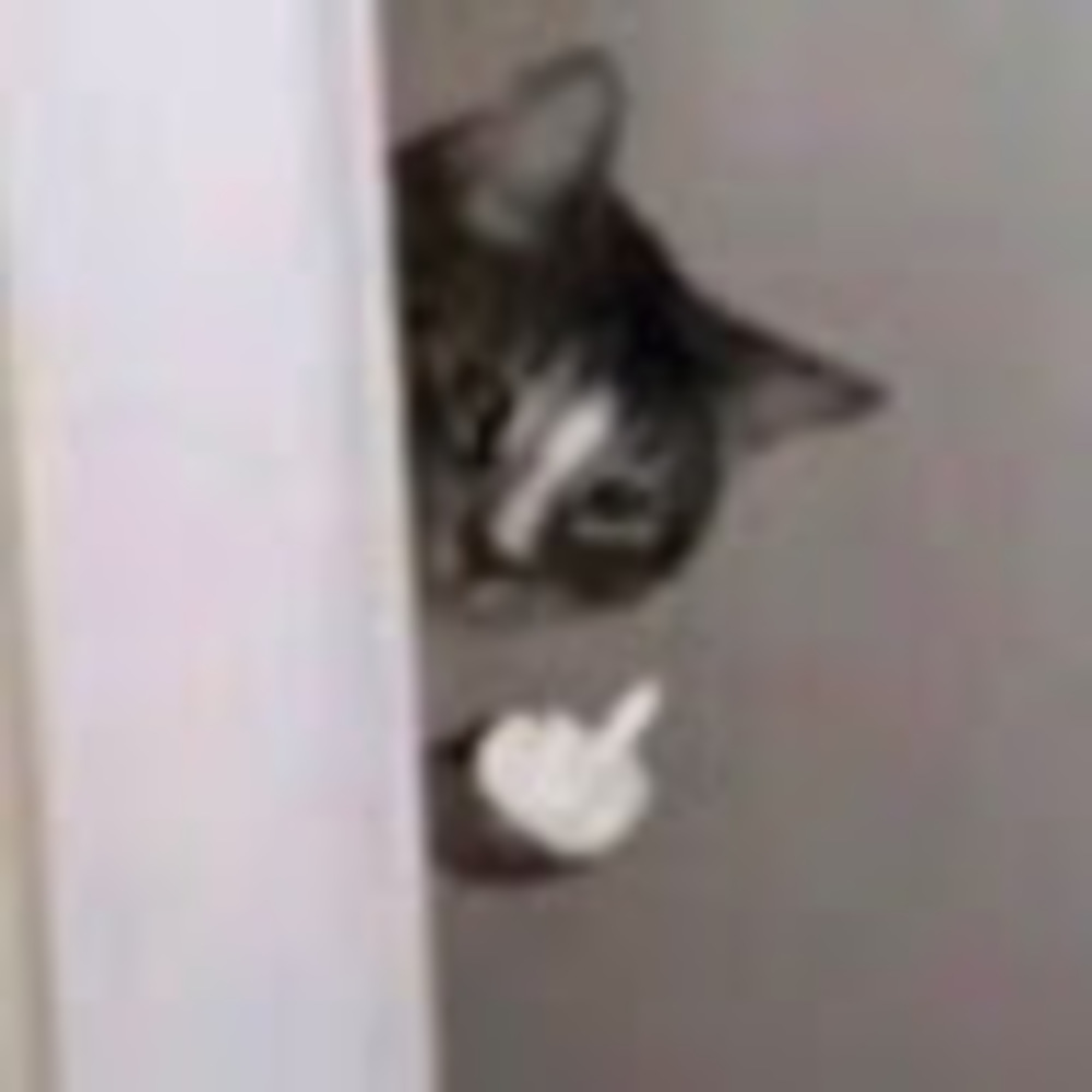 Meet your Posher, Cl0wn